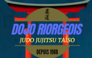 Tournoi de Riorges Dimanche 8 Novembre 2026