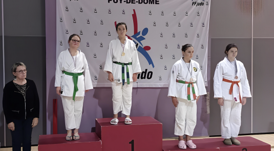 Titre Benjamin interdépartemental Judo